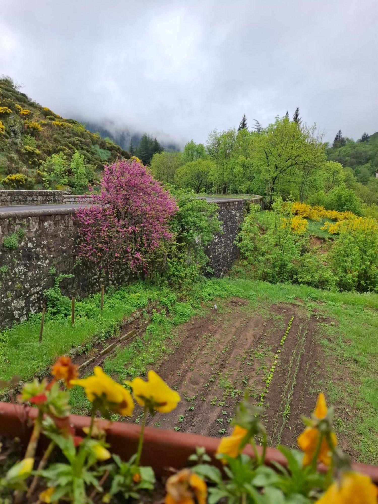 Auberge Arthea Laviolle Экстерьер фото